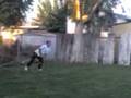 videos de portero