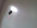 Spin-Master Air Hogs Zero Gravity Micro Laser