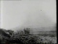 1916 A Tribute