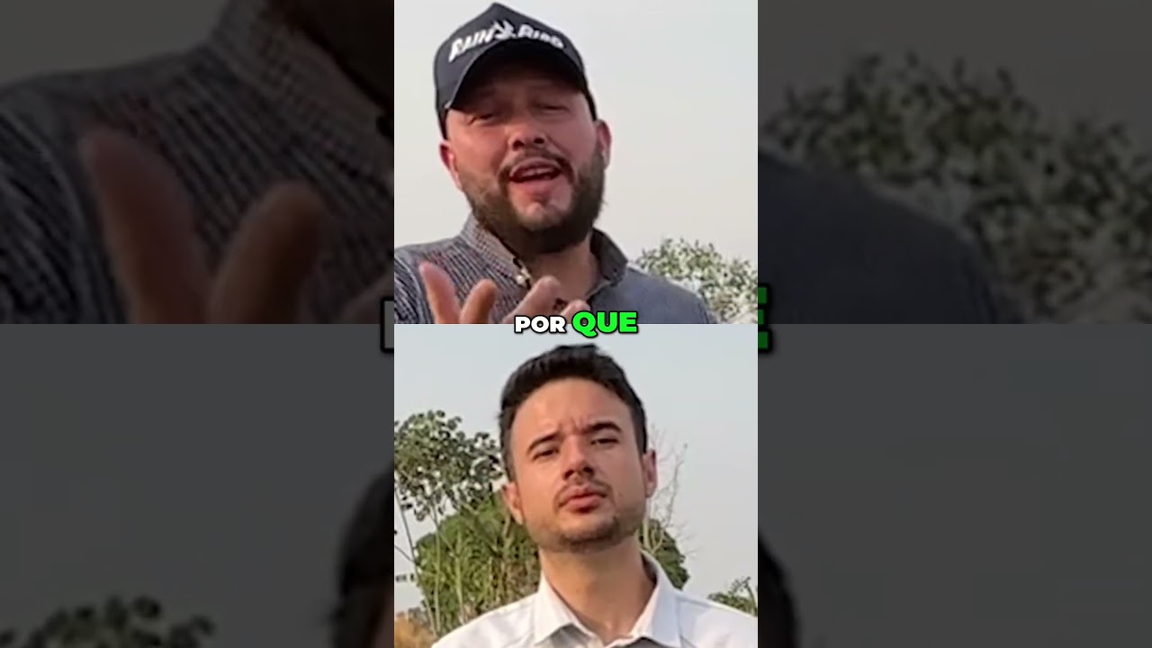 Transforme Seu Futuro Aja Agora ou Arrependa se Depois #plantas #hortalicas #agro