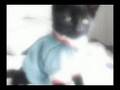 videos de MeganM Miller: My XtUbe Account!