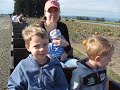 Pumpkin Patch Pumpkin Patch