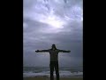 Brave - Tears Of Joy