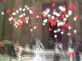videos de PALLONCINI MONGOLFIERA MAGICA DOPPIA PER MATRIMONI WWW.CARTOIS.COM