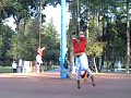 Voladores Voladores
