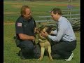 Nice police dog Nice police dog