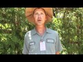 Behind-the-Zoo: An Interview with Horticulture