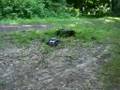 new E-Maxx im Wald Teil 1