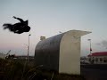 Radioactive pants Trick Test