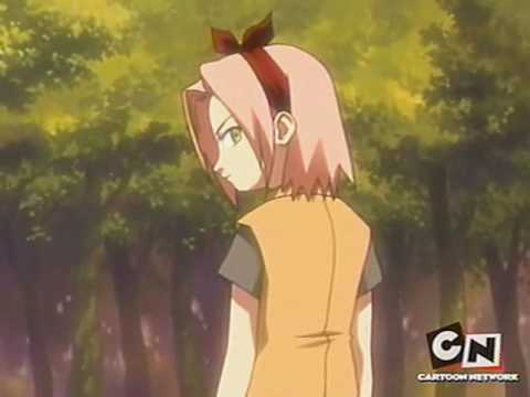 sakuino