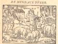 videos de Aesop's Fables in Latin: Fable 12, 