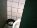 videos de Buiu cagano na rodoviaria