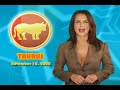 Taurus Horoscope November 10, 2008