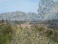 PR2 ODM - S. Domingos (Odemira)