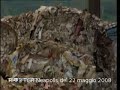Cartiera (con materia prima seconda)