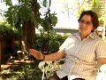 Solentiname Tours