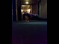videos de FLUR-ACTION inn BerLiin