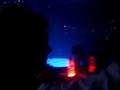 Racols Olea Sala Loop Nochebuena\