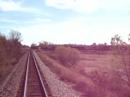 BNSF local at Black Bear
