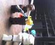 videos de continuacion