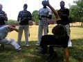 MESTRANDO SAMUCA A ROMA NO FEIJAO - MARAVILHA MESTRANDO SAMUCA A ROMA NO FEIJAO - MARAVILHA