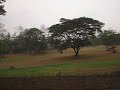 UP Diliman Academic Oval and Beyond