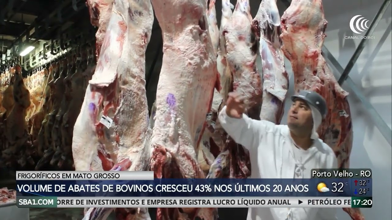 Volume de abates de bovinos cresceu 43% nos últimos 20 anos em Mato Grosso