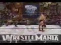 goldberg vs lesner