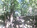 Me Nearly Crashin Into A Tree Better Veiw