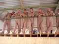 Dancing Idiots