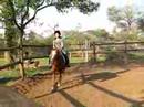 Kendra and Venus trotting in the arena for Dad