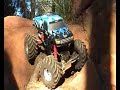 Wheely king in calamot