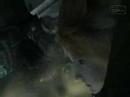 Advent Children- Meant To Live