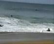 ESTIA shorebreak