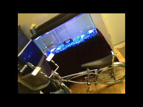 how to care knife fish