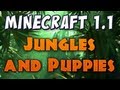 Minecraft - Jungles & Wolf Puppies! (Patch 1.2 pre-release 03a)