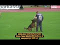 SV BSZS 2009 Ulm Ruden protection service part 9