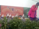 Kelana Purba - Jamiyah Darul Ma'wa Carnival 2007