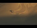 binge-presents-livin-the-dream-trailer.html