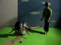 Ugly Girl (Parody of Barbie Girl - Author Unknown)