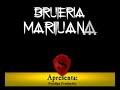 Brujeria - Marijuana -