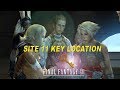Final Fantasy XII - Site 11 Key