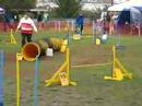 Hiltrud Steidel mit Elvis (Jumping 1)