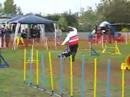 Hiltrud Steidel mit Elvis (Jumping 1)