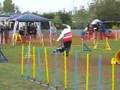 Hiltrud Steidel mit Elvis (Jumping 1)