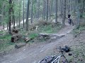 mtb freeride