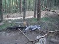 mtb freeride