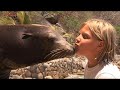 Sea Lion Kids encounter