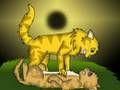 Lion and Heather- Baby Girl