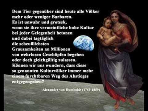 Warum vegan?